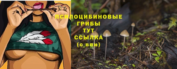мет Баксан