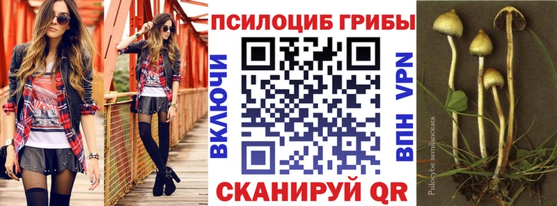 Псилоцибиновые грибы Magic Shrooms  кракен   Новая Ляля 