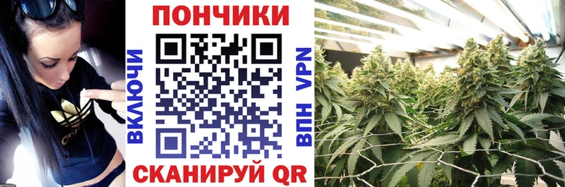 Бошки Шишки ГИДРОПОН  Новая Ляля 